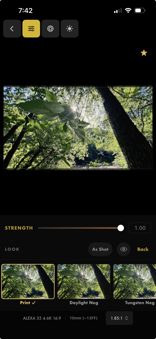 Gallery film-look editor with the Print look applied and a look filmstrip